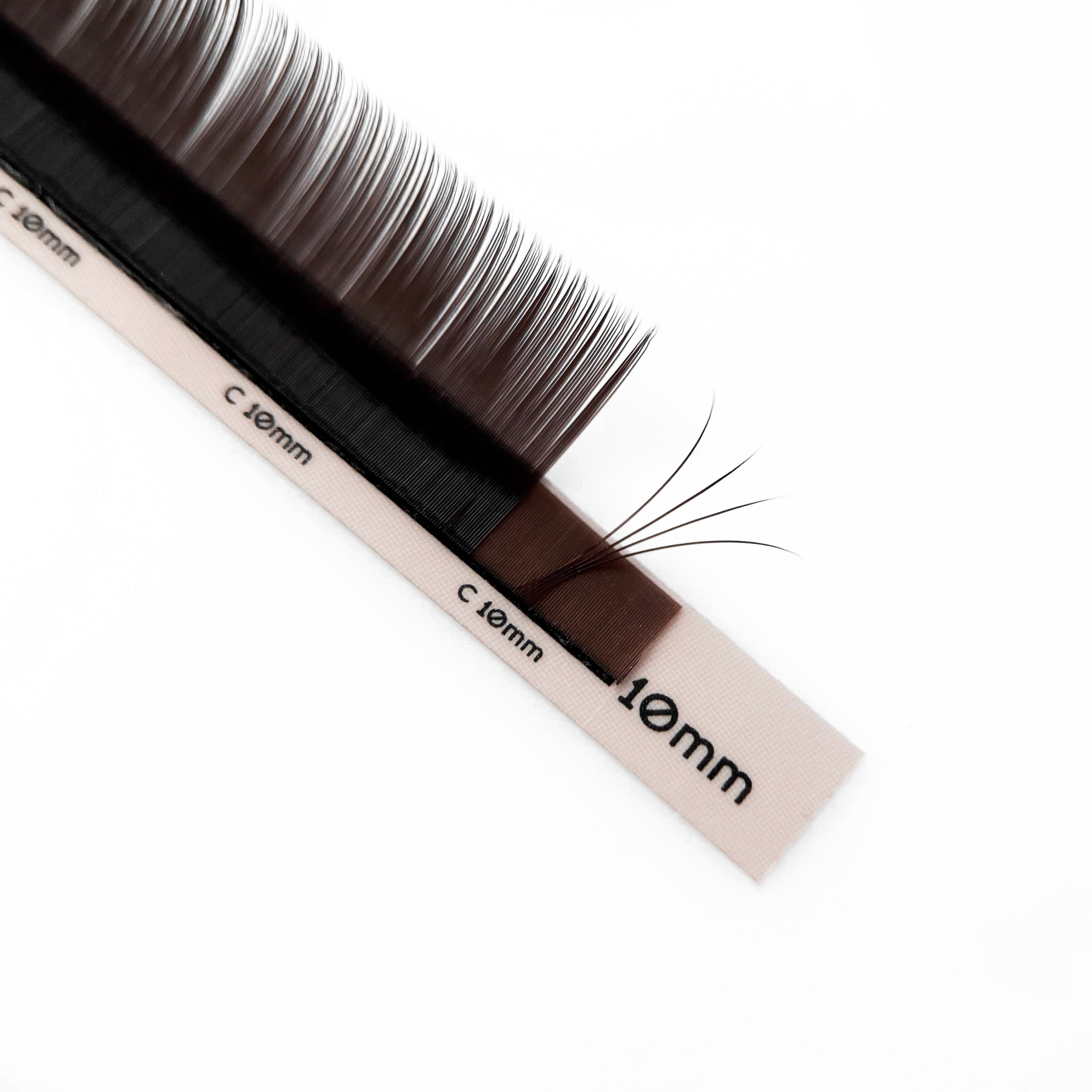 Detailaufnahme Black Brown Wimpernextensions mit Fächer auf C-Curl Streifen – EngelsWimpern®

Nahaufnahme der EngelsWimpern® Black Brown Wimpernextensions auf dem C-Curl Streifen in 10 mm. Die hochwertigen PBT-Fasern sind weich, formstabil und ermöglichen eine präzise Fächerkontrolle. Der Farbton wirkt wie ein weiches Schwarz mit wärmlichem Unterton – ideal für kund:innen, die eine dezente Alternative zu tiefschwarzen Lashes wünschen.