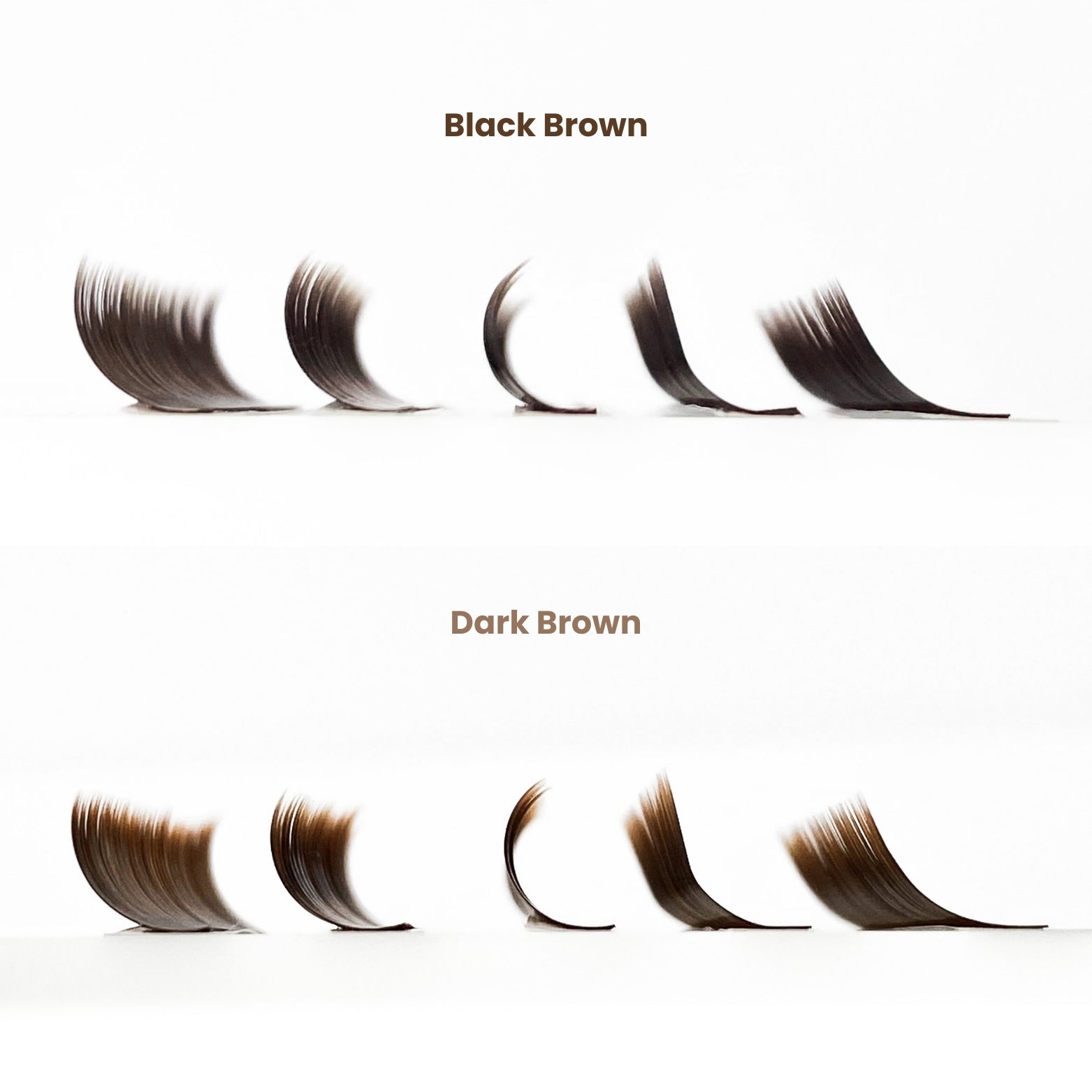 Vergleich der EngelsWimpern® Wimpernextensions in Black Brown und Dark Brown – Farb- und Curlunterschied