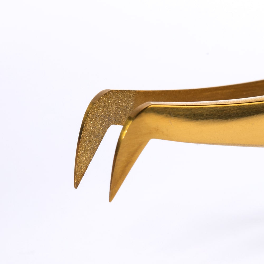 engelswimpern_beschichtung_gold_haniel